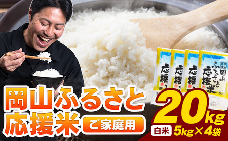 期間限定お米 20㎏ 送料込み 精米済み 米/穀物