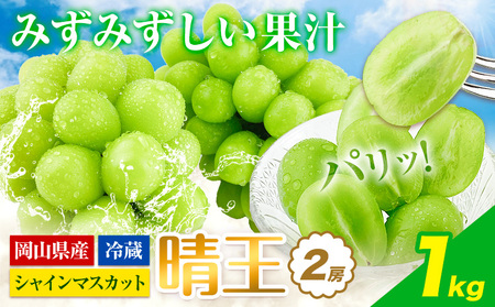 【2026年発送】シャインマスカット 晴王  1kg   ハレノフルーツ マスカット