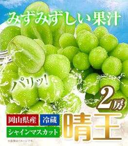 シャインマスカット【2025年先行予約】シャインマスカット 晴王 2房 1.4kg 岡山県産《9月上旬-11月中旬頃出荷(土日祝除く)》 ハレノフルーツ マスカット 送料無料 岡山県 浅口市 フルーツ 果物 贈り物 ギフト 国産 岡山県産 くだもの 青果物 【配送不可地域あり】