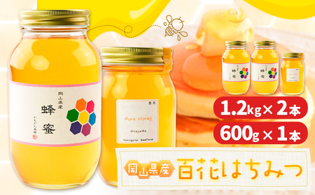 はちみつ 蜂蜜 百花 600g 1本 1.2kg 2本 計 3 本 かもがた養蜂 《30日以内に出荷予定(土日祝除く)》 岡山県 浅口市 送料無料 ハチミツ 百花蜜 百花はちみつ 岡山県産