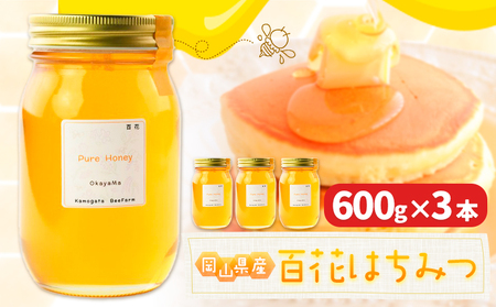 はちみつ 蜂蜜 百花 600g 3本 かもがた養蜂 《30日以内に出荷予定(土日祝除く)》 岡山県 浅口市 送料無料 ハチミツ 百花蜜 百花はちみつ 岡山県産