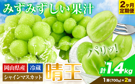 シャインマスカット 2ヶ月 定期便【先行予約】シャインマスカット 晴王 約700g 岡山県産《9月上旬-10月末頃出荷(土日祝除く)》 ハレノフルーツ マスカット 送料無料 岡山県 浅口市 フルーツ 果物 贈り物 ギフト 国産 岡山県産【配送不可地域あり】(北海道・沖縄・離島)
