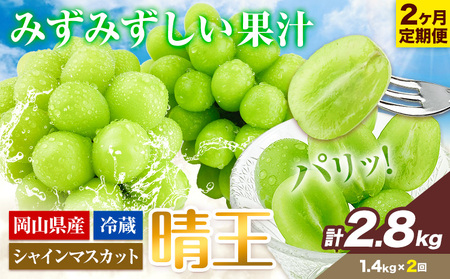 シャインマスカット 2ヶ月 定期便【先行予約】シャインマスカット 晴王 約1.4kg 岡山県産《9月上旬-10月末頃出荷(土日祝除く)》 ハレノフルーツ マスカット 送料無料 岡山県 浅口市 フルーツ 果物 贈り物 ギフト 国産 岡山県産【配送不可地域あり】（北海道・沖縄・離島）