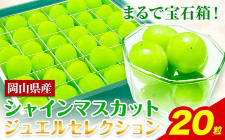 【2026年先行予約】 シャインマスカット ジュエルセレクション 20粒 岡山県産《2026年9月上旬-10月末旬頃出荷(土日祝除く)》 ハレノフルーツ マスカット 送料無料 岡山県 浅口市 フルーツ 果物 贈り物 ギフト 国産 岡山県産 くだもの【配送不可地域あり】(北海道・沖縄・離島)