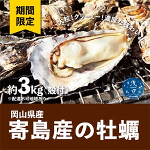【期間限定】寄島産の牡蠣（殻付）約3kg【配送不可：沖縄・離島】