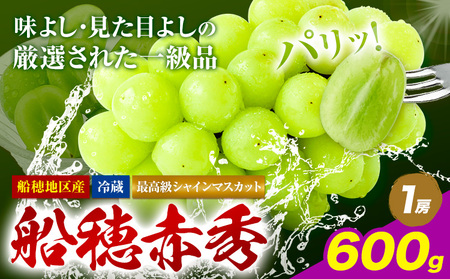 【2026年発送】最高級 シャインマスカット  船穂赤秀  600g ハレノフルーツ マスカット