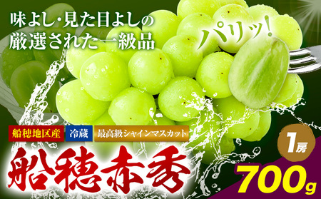 【2026年発送】最高級 シャインマスカット  船穂赤秀  700g ハレノフルーツ マスカット