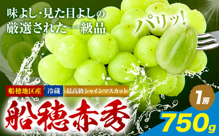 【2026年発送】最高級 シャインマスカット  船穂赤秀  750g ハレノフルーツ マスカット