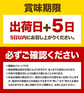 最高級 シャインマスカット【2025年先行予約】ぶどう 船穂赤秀 1房 720g 岡山県産《9月上旬-11月中旬頃出荷(土日祝除く)》 ハレノフルーツ マスカット 送料無料 岡山県 浅口市 フルーツ 果物 贈り物 ギフト 国産 岡山県産【配送不可地域あり】