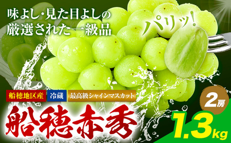 【2026年発送】最高級 シャインマスカット  船穂赤秀  1.3kg ハレノフルーツ マスカット