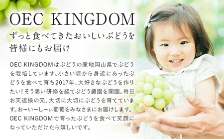 ご家庭用 シャインマスカット 約1kg以上《8月下旬-10月上旬頃出荷》ぶどう【配送不可地域あり】（離島）