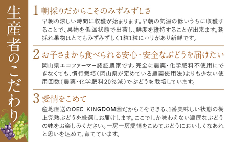 ご家庭用 シャインマスカット 約1kg以上《8月下旬-10月上旬頃出荷》ぶどう【配送不可地域あり】（離島）