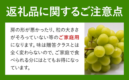 ご家庭用 シャインマスカット 約2kg以上《8月下旬-10月上旬頃出荷》ぶどう【配送不可地域あり】（離島）