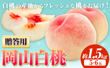 【2026年発送】贈答用 桃 1.5kg ハレノフルーツ（犬塚農園）