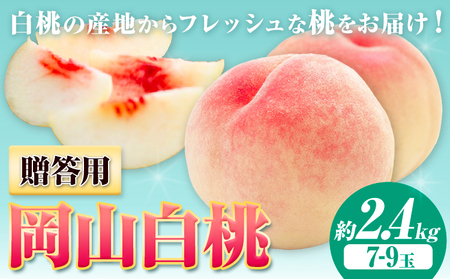 【2026年発送】贈答用 桃  2.4kg ハレノフルーツ （犬塚農園）  