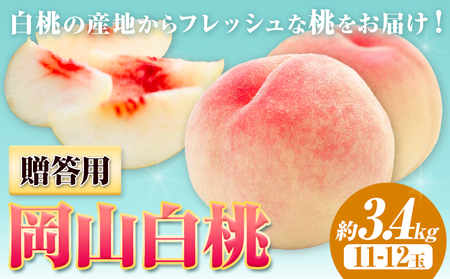 【2026年発送】贈答用 桃  3.4kg ハレノフルーツ（犬塚農園）