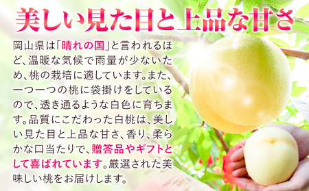 【2026年発送】贈答用 桃  3.4kg ハレノフルーツ（犬塚農園）