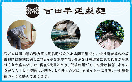 手延べ冷し中華 12食入り（スープ付）株式会社 吉田手延製麺《30日以内に出荷予定(土日祝除く)》岡山県 浅口市 冷やし中華 麺 送料無料
