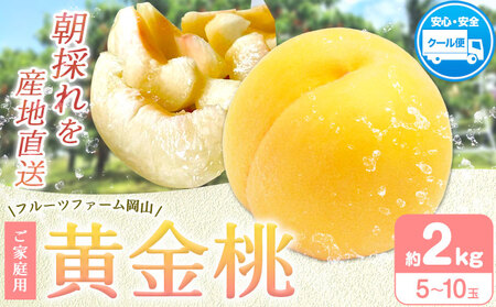 【2026年発送】桃 黄金桃 ご家庭用2kg フルーツファーム岡山