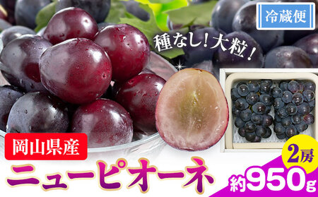 【先行予約】ぶどう ニューピオーネ 約950g 2房 【配送不可地域あり】(北海道・沖縄・離島) 株式会社藍《9月中旬-10月下旬頃出荷》 岡山県 浅口市 岡山県産 ぶどう フルーツ 果物 くだもの ピオーネ 送料無料