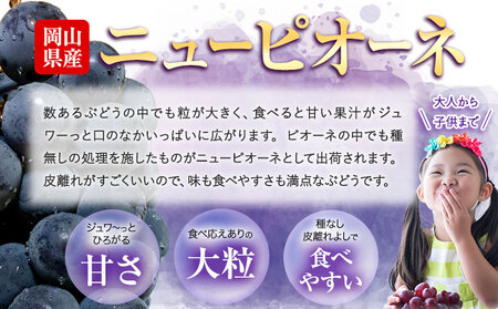 【先行予約】ぶどう ニューピオーネ 約950g 2房 【配送不可地域あり】(北海道・沖縄・離島) 株式会社藍《9月中旬-10月下旬頃出荷》 岡山県 浅口市 岡山県産 ぶどう フルーツ 果物 くだもの ピオーネ 送料無料