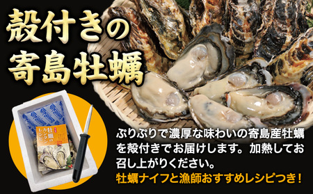 【先行予約】牡蠣 殻付き 牡蠣 Lナイフ レシピセット 加熱用 約4kg 寄島町漁業協同組合《2025年2月上旬-4月中旬頃出荷》岡山県 浅口市 海鮮 かき 牡蠣 岡山県寄島産 カキ 鍋 牡蠣鍋 バーベキュー BBQ カキフライ 【離島配送不可】