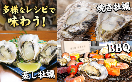 【先行予約】牡蠣 殻付き 牡蠣 Lナイフ レシピセット 加熱用 約4kg 寄島町漁業協同組合《2025年2月上旬-4月中旬頃出荷》岡山県 浅口市 海鮮 かき 牡蠣 岡山県寄島産 カキ 鍋 牡蠣鍋 バーベキュー BBQ カキフライ 【離島配送不可】