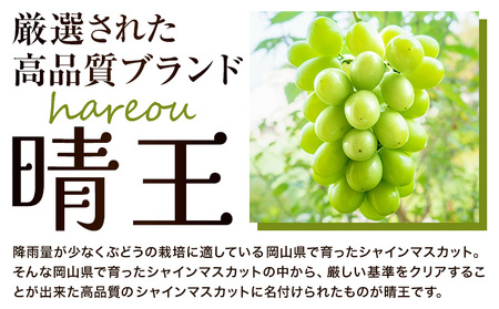 【2026年発送】シャインマスカット 晴王 約650g晴レ乃青果 (岡山中央卸売市場店(富士紙工 有限会社))