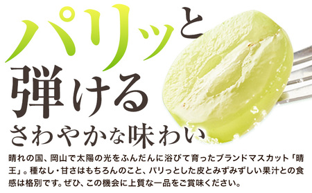 【2026年発送】シャインマスカット 晴王 約650g晴レ乃青果 (岡山中央卸売市場店(富士紙工 有限会社))