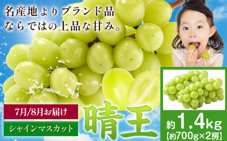 【2026年発送】シャインマスカット 晴王 1.4kg  マスカット岡山