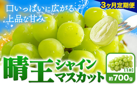 【3ヶ月定期便】ぶどう シャインマスカット 晴王 700g 1房 マスカット岡山《7月上旬-9月末頃出荷》岡山県 浅口市 送料無料 フルーツ 果物 マスカット お取り寄せフルーツ【配送不可地域あり】（北海道・沖縄・離島）