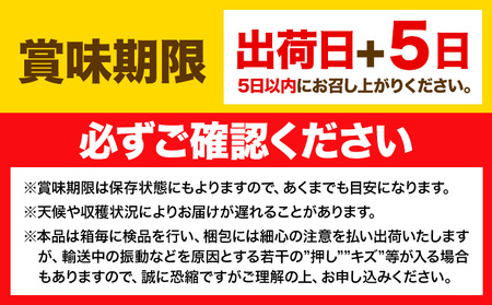 【2ヶ月定期便】ぶどう シャインマスカット 晴王 700g 1房 マスカット岡山《9月上旬-10月末頃出荷》岡山県 浅口市 送料無料 フルーツ 果物 マスカット お取り寄せフルーツ【配送不可地域あり】（北海道・沖縄・離島）