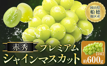 【2026年発送】シャインマスカット 赤秀 プレミアム 晴王 600g マスカット岡山