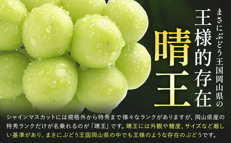 岡山県産 赤秀 シャインマスカット晴王　約1.2kg 2房　2箱 岡山県産 シャインマスカット【晴王】【赤秀】2房（約400g×2）JA