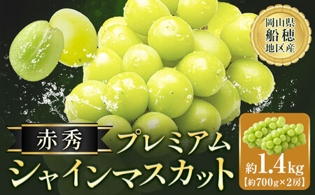 【2026年発送】シャインマスカット 赤秀 プレミアム 晴王 1.4kg  マスカット岡山