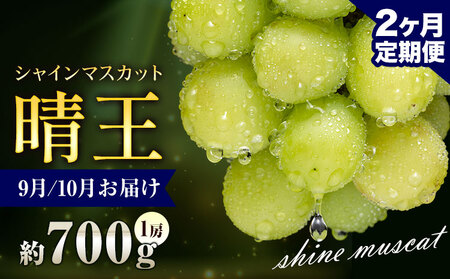【先行予約】ぶどう シャインマスカット 晴王 700g 1房 2ヶ月定期便 彩美菜果《9月上旬-10月末頃出荷》 マスカット 送料無料 岡山県 浅口市 フルーツ 果物 贈り物 国産 岡山県産 くだもの 果物 9月 10月発送 【配送不可地域あり】（北海道・沖縄・離島）