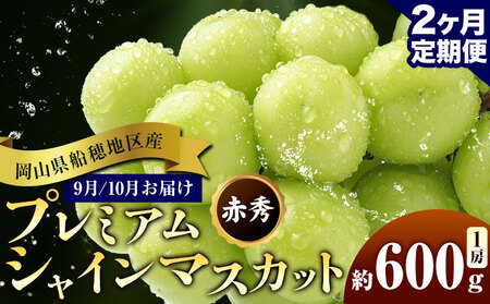 【先行予約】ぶどう 岡山県船穂地区産 プレミアム シャインマスカット 晴王 赤秀 600g 1房 2ヶ月定期便 彩美菜果《9月上旬-10月末頃出荷》 マスカット 岡山県 浅口市 フルーツ 果物 贈り物 国産 くだもの 【配送不可地域あり】（北海道・沖縄・離島）