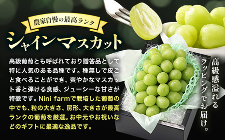 【2026年発送】シャインマスカット 農家自慢の最高ランク シャインマスカット 約750g 特秀クラス Nini farm