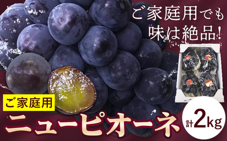 【2026年先行予約】訳あり ぶどう ニューピオーネ ご家庭用 計2kg たけまさぶどう園 《2026年7月下旬-10月上旬頃出荷》岡山県 浅口市 送料無料 フルーツ 果物 岡山県産 青果物 お取り寄せフルーツ【配送不可地域あり】(離島)