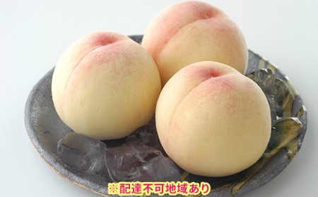 ●先行予約●岡山県産 白桃 5玉(合計約1.3kg)【配達不可:離島】