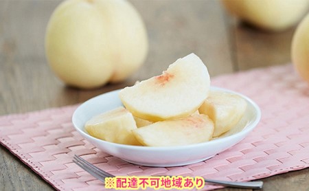 ご家庭用 岡山県産 白桃(晩生種)約1.5kg(5~6玉)