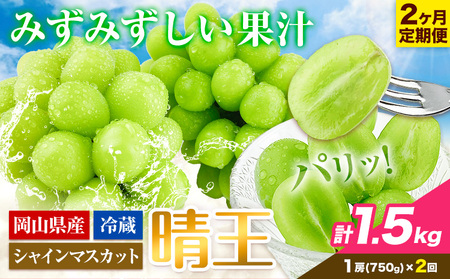 シャインマスカット 2ヶ月 定期便【先行予約】シャインマスカット 晴王 約750g 岡山県産《9月上旬-10月末頃出荷(土日祝除く)》 ハレノフルーツ マスカット 送料無料 岡山県 浅口市 フルーツ 果物 贈り物 ギフト 国産 岡山県産【配送不可地域あり】（北海道・沖縄・離島）