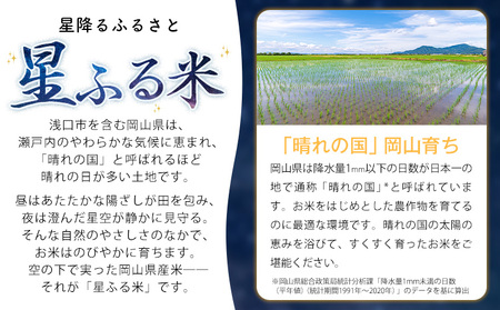 白米 星ふる米 20kg h