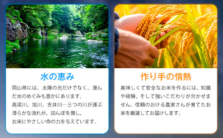 無洗米【6ヶ月定期便】 星ふる米 5kg mt