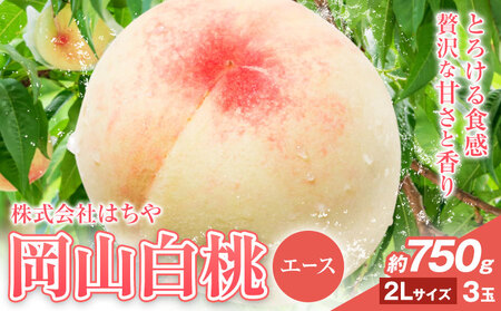【2026年発送】岡山白桃 エース 約750g 株式会社はちや