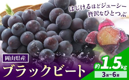 【先行予約】岡山県産 ぶどう ブラックビート 計 1.5kg 3房 ～ 6房 株式会社 はちや《8月上旬-9月上旬頃出荷》【配送不可地域あり】