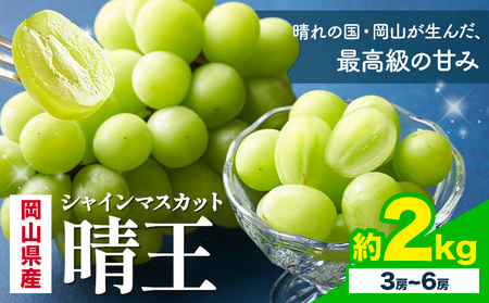 【2026年発送】  シャインマスカット 晴王 2kg 株式会社はちや シャインマスカット