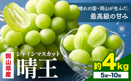 【2026年発送】  シャインマスカット晴王 4kg 株式会社はちや シャインマスカット 6,480円
