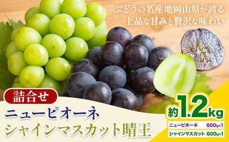 【先行予約】 岡山県産 シャインマスカット「晴王」とニューピオーネ 計 1.2kg 株式会社はちや《6月下旬～7月下旬頃頃出荷》【配送不可地域あり】 6,570円