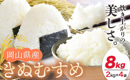 【令和7年産】 無洗米 8kg お米 8キロ 国産 岡山県産 きぬむすめ 8kg(2kg×4袋) 全農パールライス株式会社《30日以内に出荷予定(土日祝除く)》 岡山県 浅口市 送料無料 こめ 精米 きぬむすめ お取り寄せ